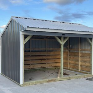 Animal Shelter 10x14